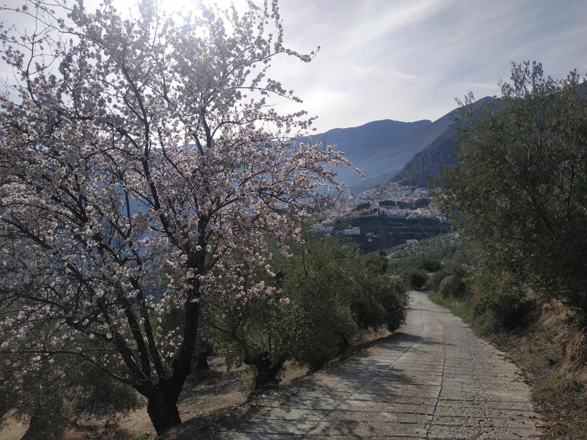 הוילה Albanchez de Úbeda Casa Rural Maestros מראה חיצוני תמונה