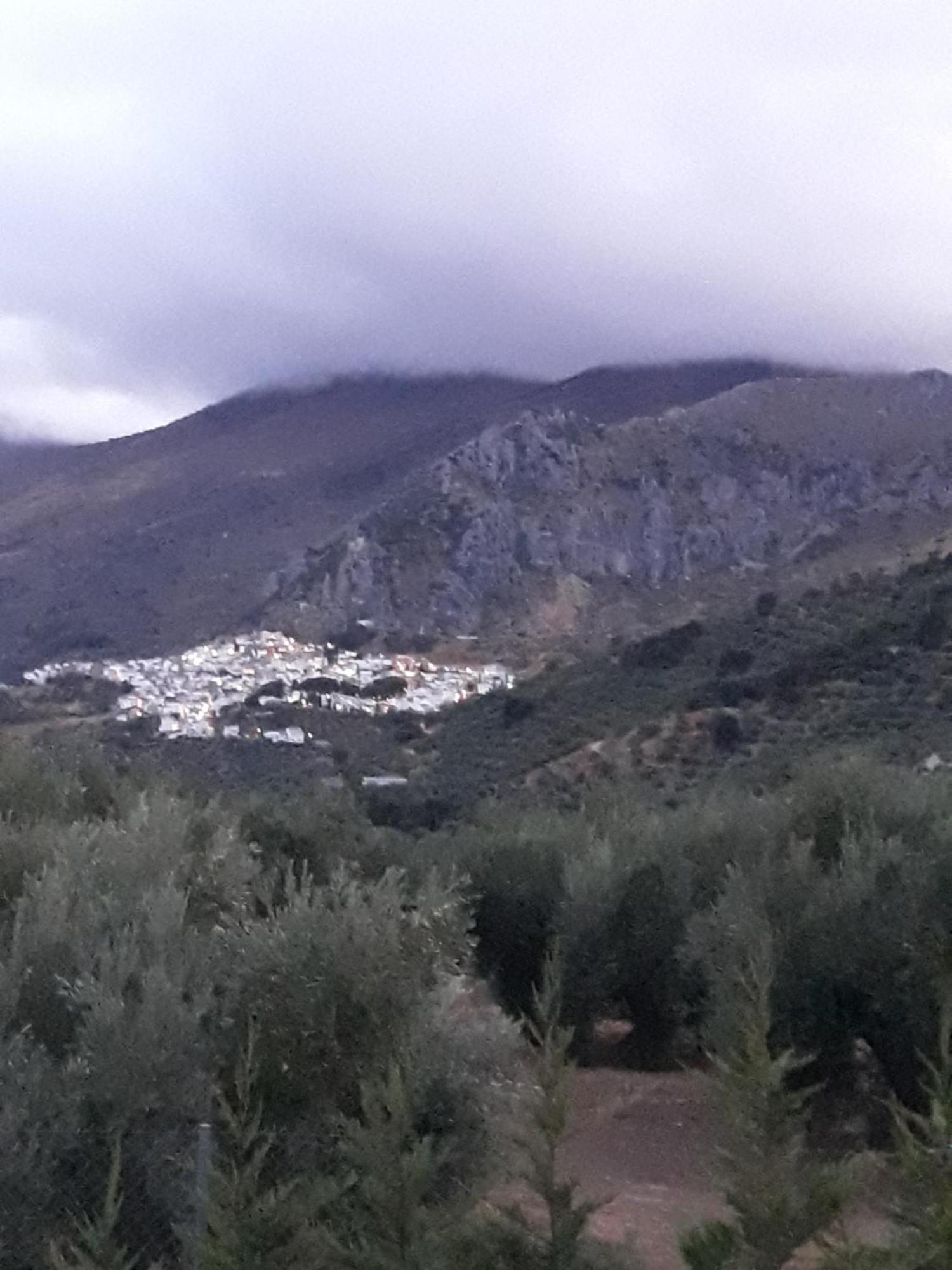 הוילה Albanchez de Úbeda Casa Rural Maestros מראה חיצוני תמונה